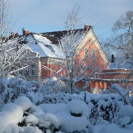 Alte Hotel 3*
