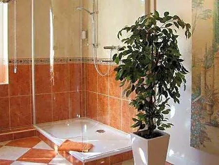 Alte 3*