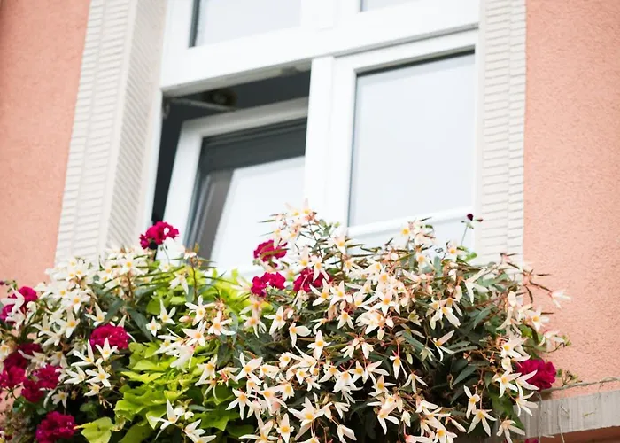 Alte 3* Hamm (North Rhine-Westphalia)